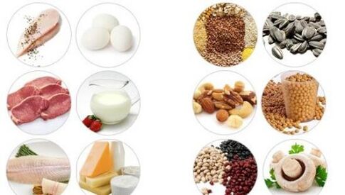 Продукти с високо съдържание на животински и растителни протеини за мъжка потентност